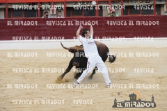 CORTES MEDINA DEL CAMPO 29-08-2015 59