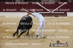 CORTES MEDINA DEL CAMPO 29-08-2015 6