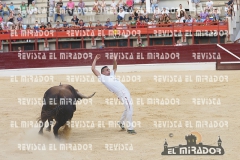 CORTES MEDINA DEL CAMPO 29-08-2015 60