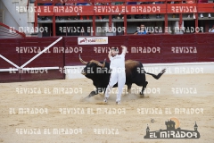 CORTES MEDINA DEL CAMPO 29-08-2015 61