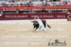 CORTES MEDINA DEL CAMPO 29-08-2015 62