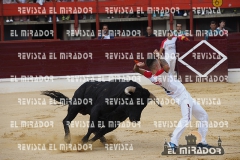 CORTES MEDINA DEL CAMPO 29-08-2015 7