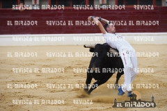 CORTES MEDINA DEL CAMPO 29-08-2015 8