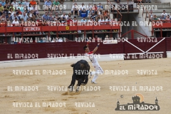 CORTES MEDINA DEL CAMPO 29-08-2015 9