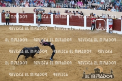 OLMEDO ENCIERRO 29-9-2015 22