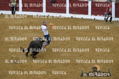 OLMEDO ENCIERRO 29-9-2015 28