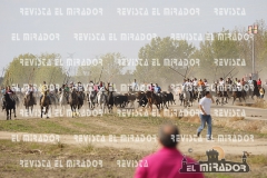 OLMEDO ENCIERRO 29-9-2015 59