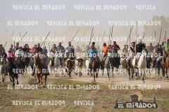 OLMEDO ENCIERRO 29-9-2015 60