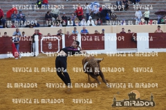 OLMEDO ENCIERRO 29-9-2015 88