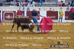 OLMEDO ENCIERRO 29-9-2015 95