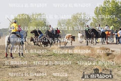 OLMEDO ENCIERRO 25-9-2015 14