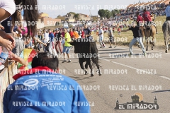 OLMEDO ENCIERRO 25-9-2015 23