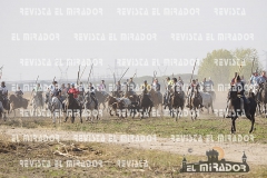 OLMEDO ENCIERRO 25-9-2015 26