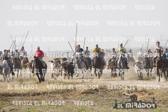 OLMEDO ENCIERRO 25-9-2015 28