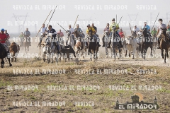 OLMEDO ENCIERRO 25-9-2015 29