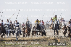 OLMEDO ENCIERRO 25-9-2015 30