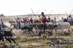 OLMEDO ENCIERRO 25-9-2015 31