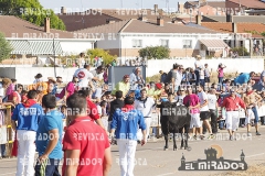 OLMEDO ENCIERRO 25-9-2015 35