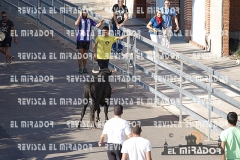 OLMEDO ENCIERRO 25-9-2015 42